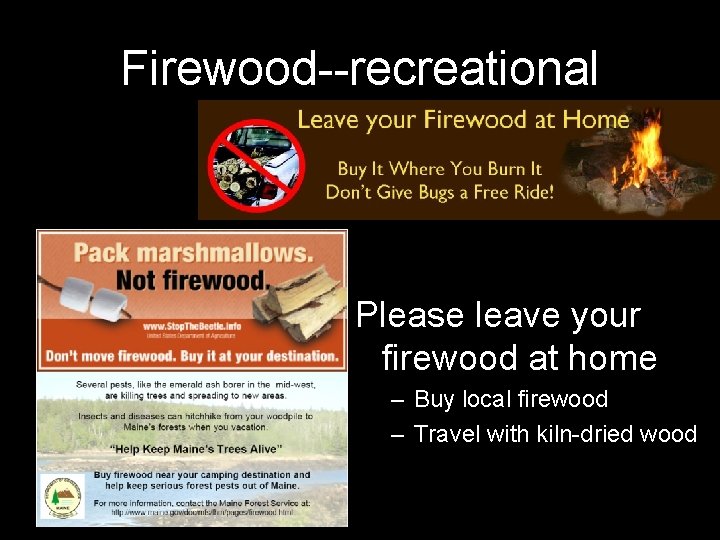 Firewood--recreational Please leave your firewood at home – Buy local firewood – Travel with