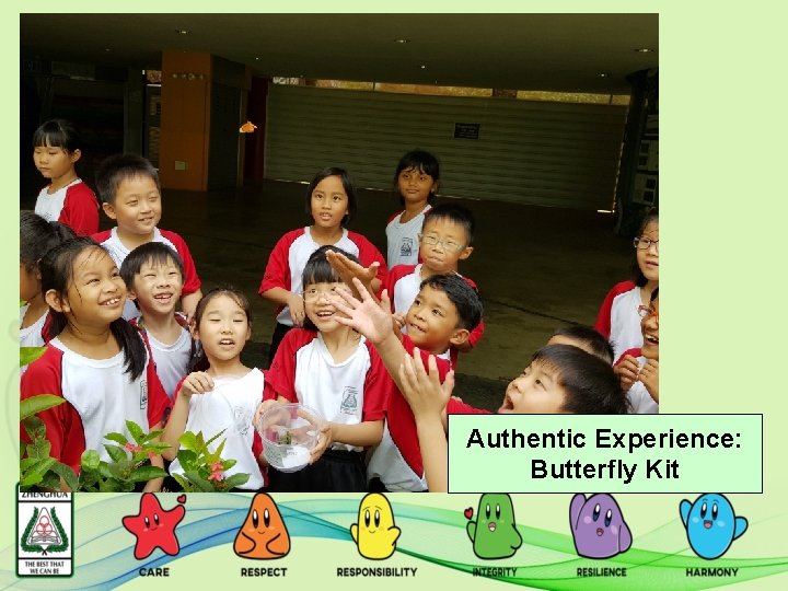Authentic Experience: Butterfly Kit 