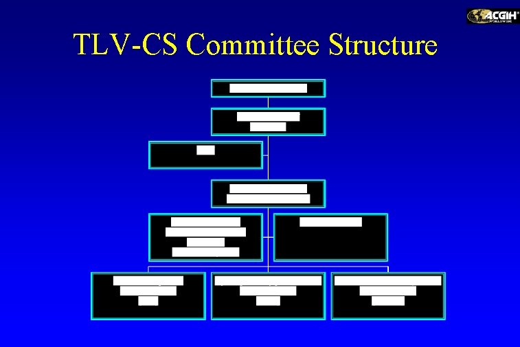 TLV-CS Committee Structure 