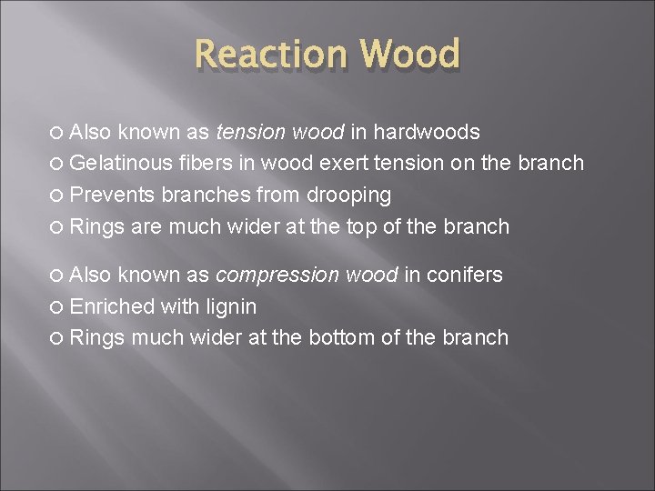 Reaction Wood Also known as tension wood in hardwoods Gelatinous fibers in wood exert
