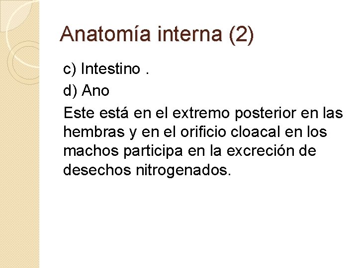 Anatomía interna (2) c) Intestino. d) Ano Este está en el extremo posterior en