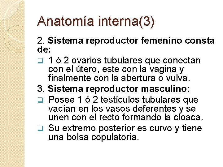 Anatomía interna(3) 2. Sistema reproductor femenino consta de: q 1 ó 2 ovarios tubulares