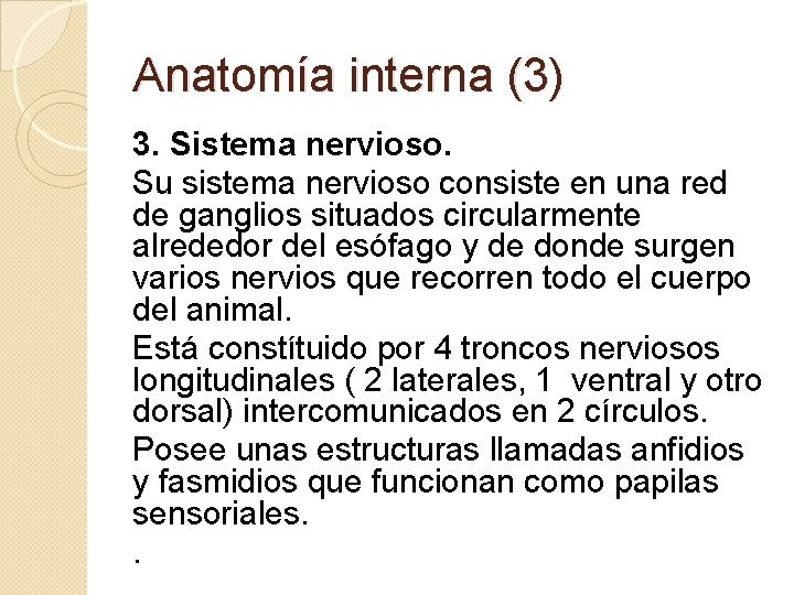 Anatomía interna (3) 3. Sistema nervioso. Su sistema nervioso consiste en una red de