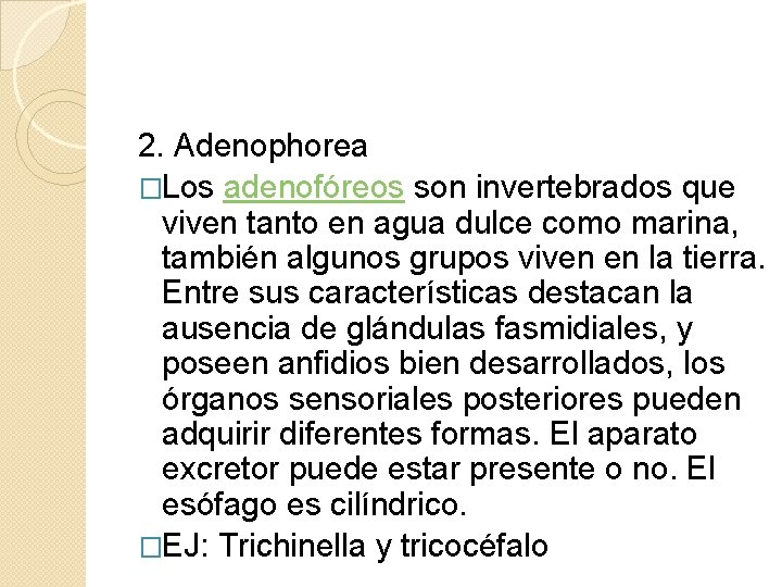 2. Adenophorea �Los adenofóreos son invertebrados que viven tanto en agua dulce como marina,