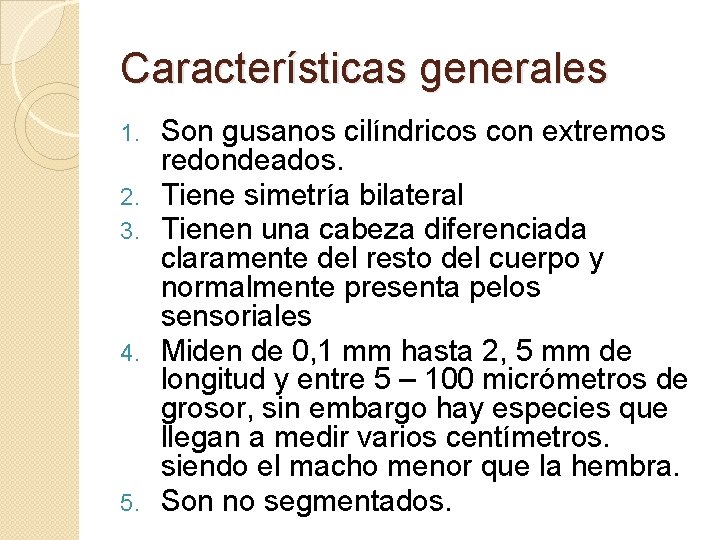 Características generales 1. 2. 3. 4. 5. Son gusanos cilíndricos con extremos redondeados. Tiene