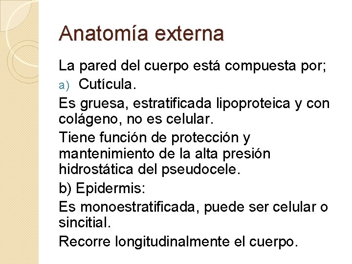 Anatomía externa La pared del cuerpo está compuesta por; a) Cutícula. Es gruesa, estratificada