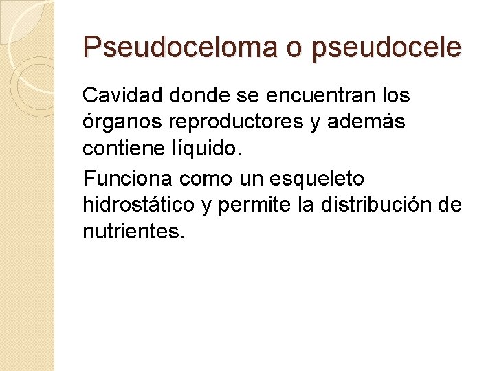 Pseudoceloma o pseudocele Cavidad donde se encuentran los órganos reproductores y además contiene líquido.
