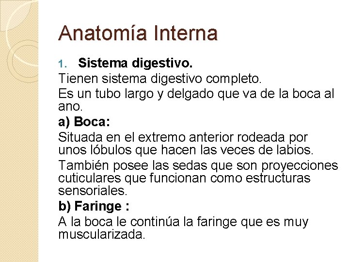 Anatomía Interna Sistema digestivo. Tienen sistema digestivo completo. Es un tubo largo y delgado