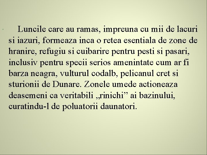  Luncile care au ramas, impreuna cu mii de lacuri si iazuri, formeaza inca