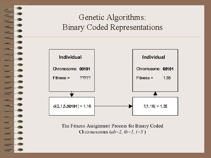 Genetic Algorithms: Binary Coded Representations 