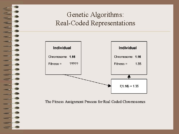 Genetic Algorithms: Real-Coded Representations 