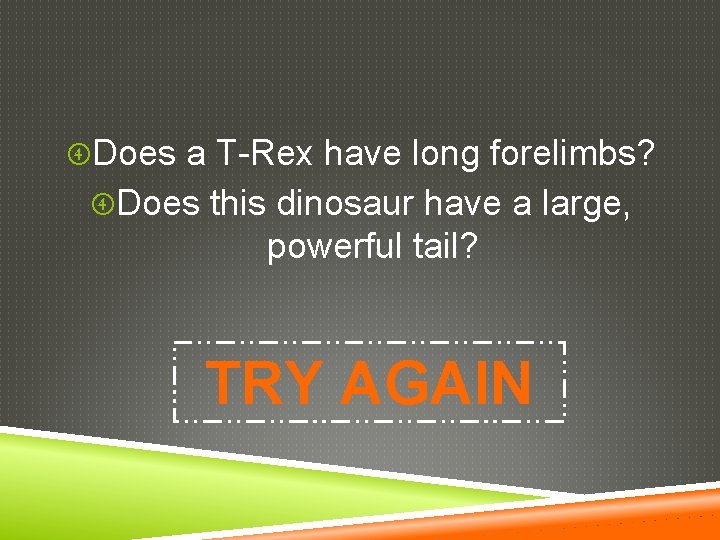  Does a T-Rex have long forelimbs? Does this dinosaur have a large, powerful