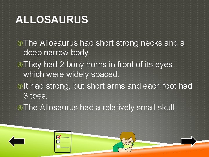 ALLOSAURUS The Allosaurus had short strong necks and a deep narrow body. They had