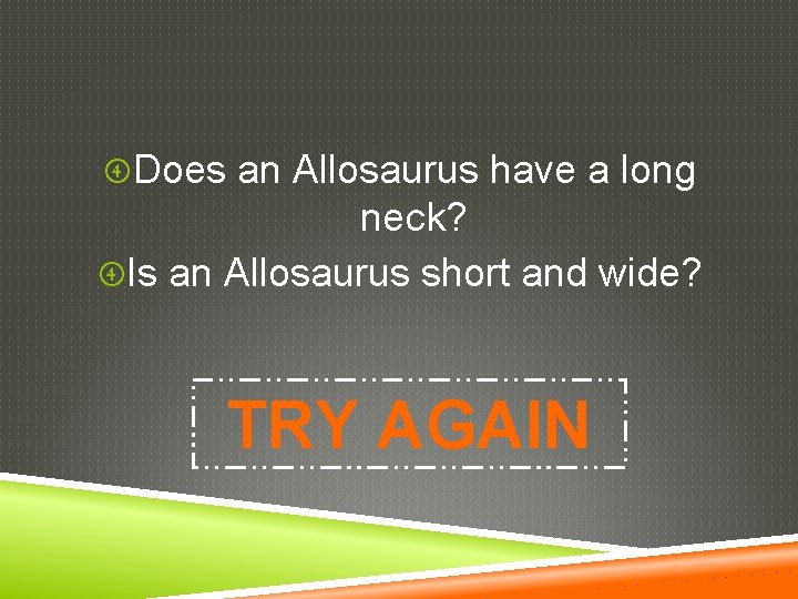  Does an Allosaurus have a long neck? Is an Allosaurus short and wide?
