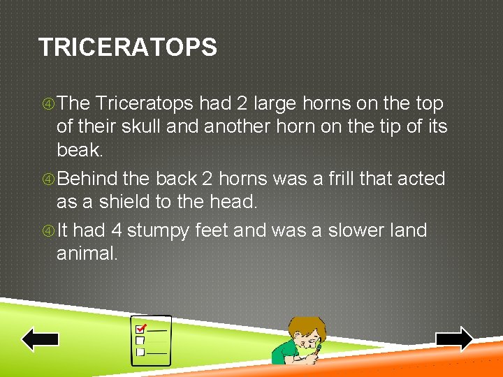 TRICERATOPS The Triceratops had 2 large horns on the top of their skull and