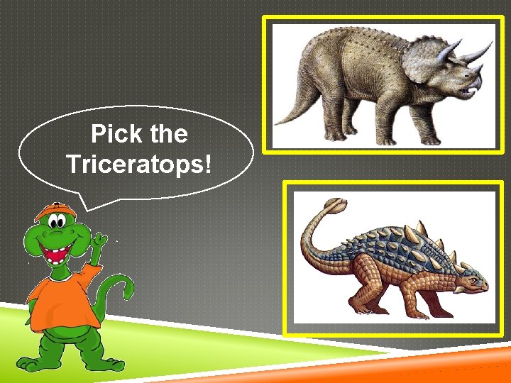 Pick the Triceratops! 