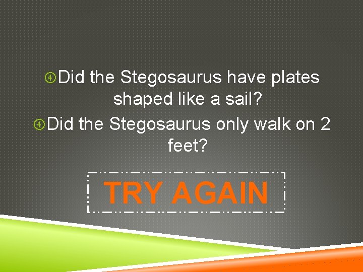  Did the Stegosaurus have plates shaped like a sail? Did the Stegosaurus only