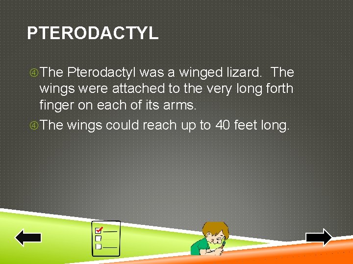 PTERODACTYL The Pterodactyl was a winged lizard. The wings were attached to the very