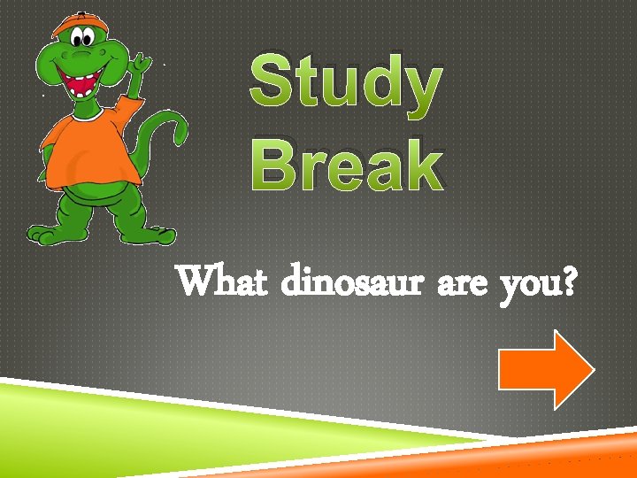 Study Break What dinosaur are you? 