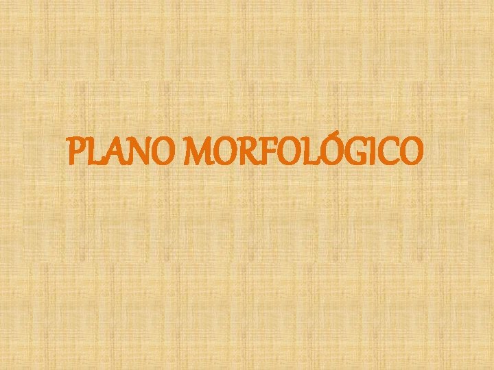 PLANO MORFOLÓGICO 