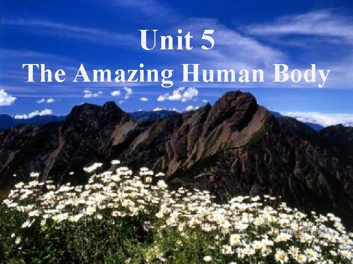 Unit 5 The Amazing Human Body 2007/5/10 1 