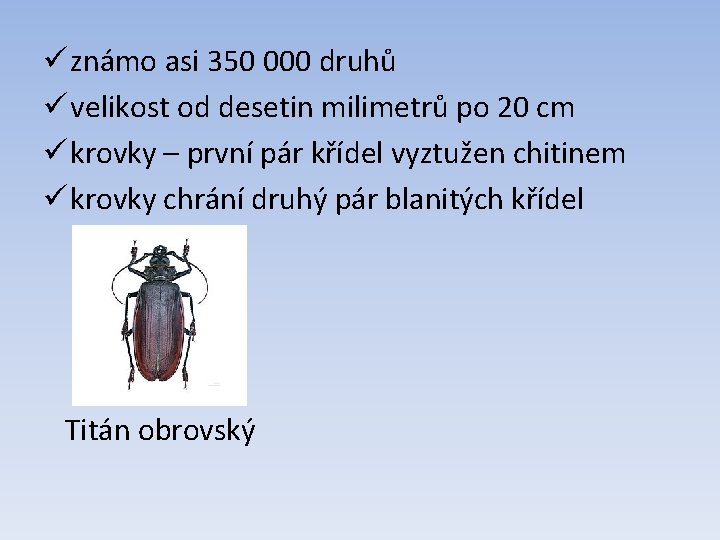 ü známo asi 350 000 druhů ü velikost od desetin milimetrů po 20 cm