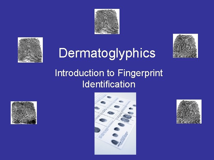 Dermatoglyphics Introduction to Fingerprint Identification 