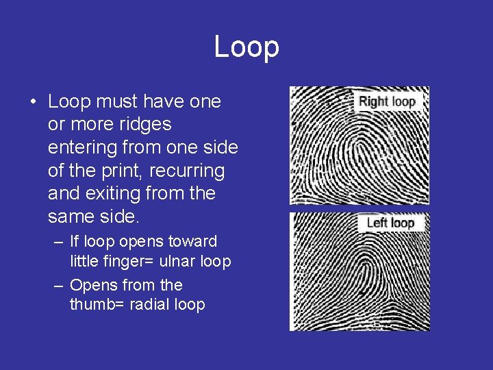 Loop • Loop must have one or more ridges entering from one side of
