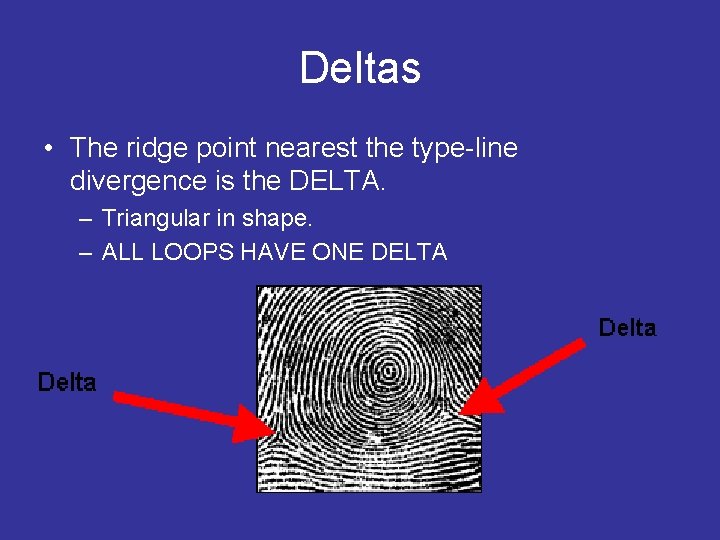 Deltas • The ridge point nearest the type-line divergence is the DELTA. – Triangular
