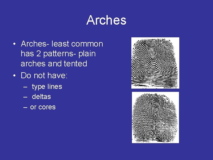 Arches • Arches- least common has 2 patterns- plain arches and tented • Do