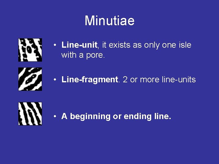 Minutiae • Line-unit, it exists as only one isle with a pore. • Line-fragment.