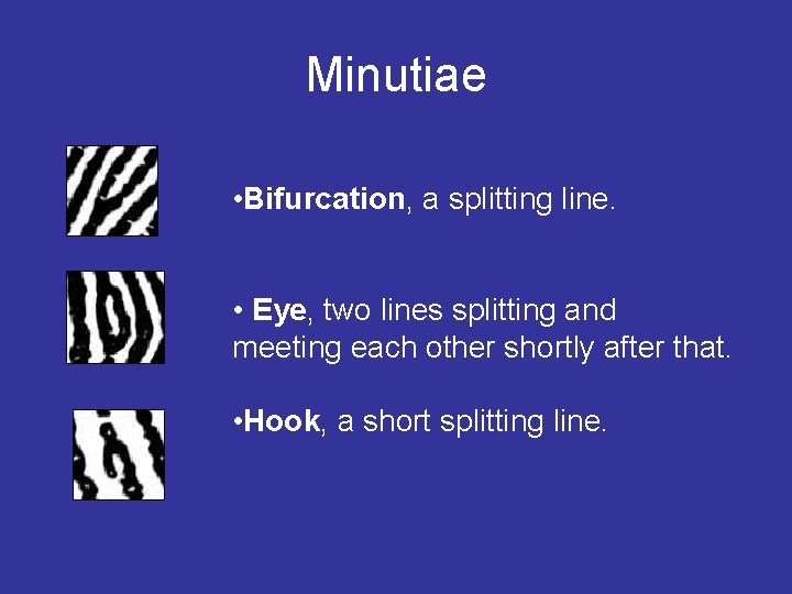 Minutiae • Bifurcation, a splitting line. • Eye, two lines splitting and meeting each