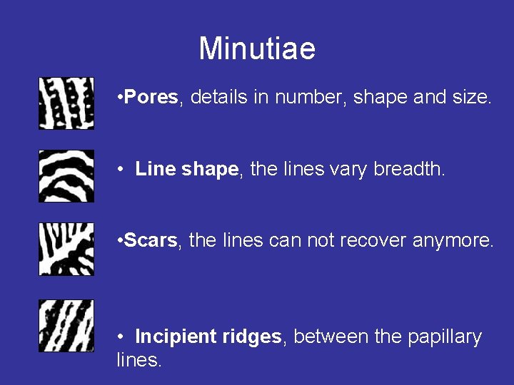 Minutiae • Pores, details in number, shape and size. • Line shape, the lines