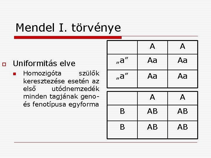 Mendel I. törvénye o Uniformitás elve n Homozigóta szülők keresztezése esetén az első utódnemzedék