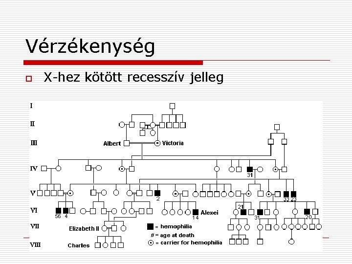 Vérzékenység o X-hez kötött recesszív jelleg 