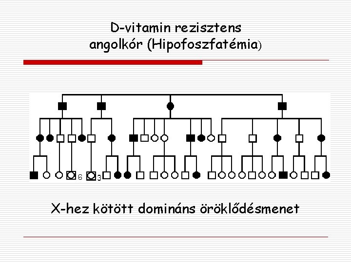 D-vitamin rezisztens angolkór (Hipofoszfatémia) X-hez kötött domináns öröklődésmenet 