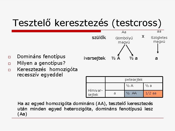 Tesztelő keresztezés (testcross) Aa szülők o o o Domináns fenotípus Milyen a genotípus? Keresztezés