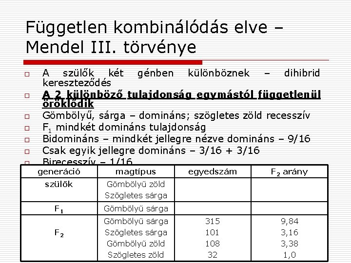 Független kombinálódás elve – Mendel III. törvénye o o o o A szülők két