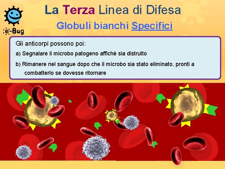 La Terza Linea di Difesa Globuli bianchi Specifici Gli anticorpi possono poi: a) Segnalare