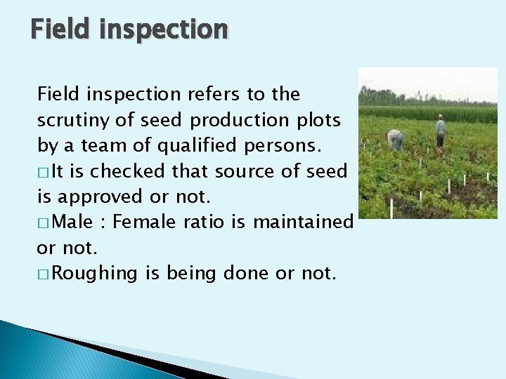 Field inspection refers to the scrutiny of seed production plots by a team of