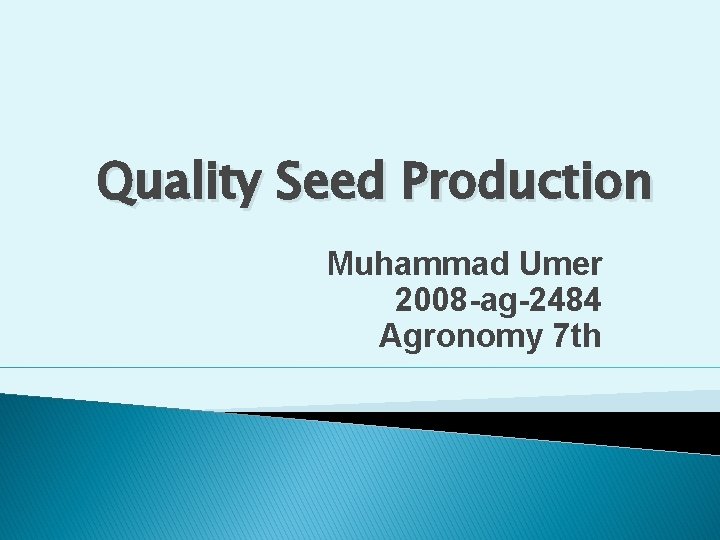 Quality Seed Production Muhammad Umer 2008 -ag-2484 Agronomy 7 th 