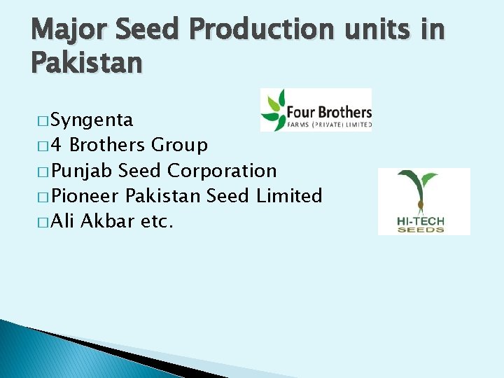 Major Seed Production units in Pakistan � Syngenta � 4 Brothers Group � Punjab