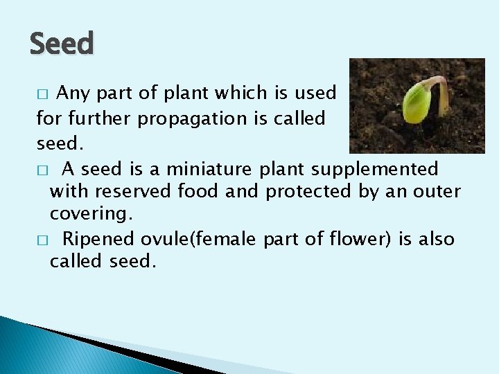 Seed Any part of plant which is used for further propagation is called seed.