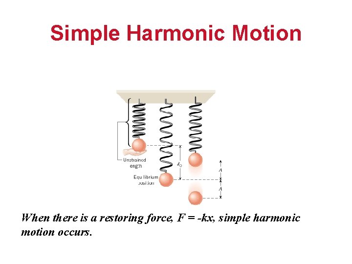 Simple Harmonic Motion When there is a restoring force, F = -kx, simple harmonic
