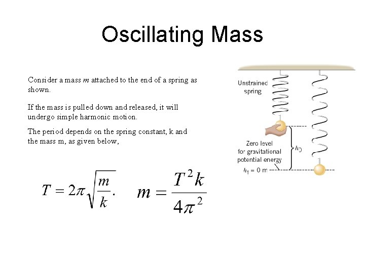 Oscillating Mass Consider a mass m attached to the end of a spring as