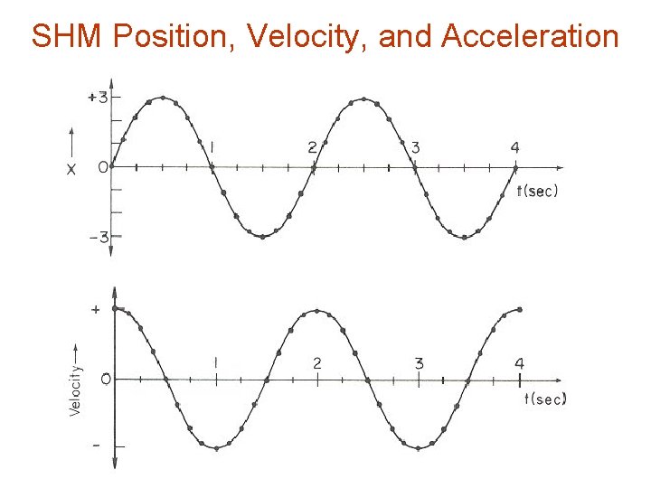 SHM Position, Velocity, and Acceleration 