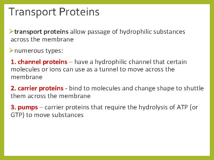 Transport Proteins Øtransport proteins allow passage of hydrophilic substances across the membrane Ønumerous types: