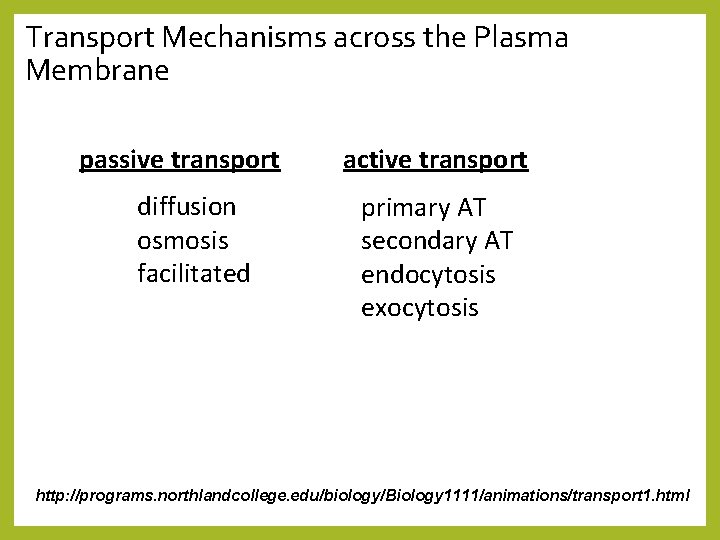 Transport Mechanisms across the Plasma Membrane passive transport diffusion osmosis facilitated active transport primary