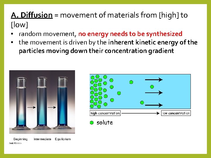 A. Diffusion = movement of materials from [high] to [low] • random movement, no