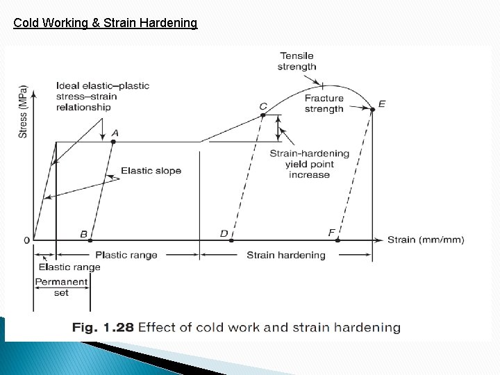 Cold Working & Strain Hardening 